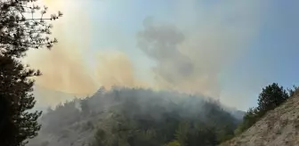 Karabük'te Orman Yangınına Müdahale Başlatıldı