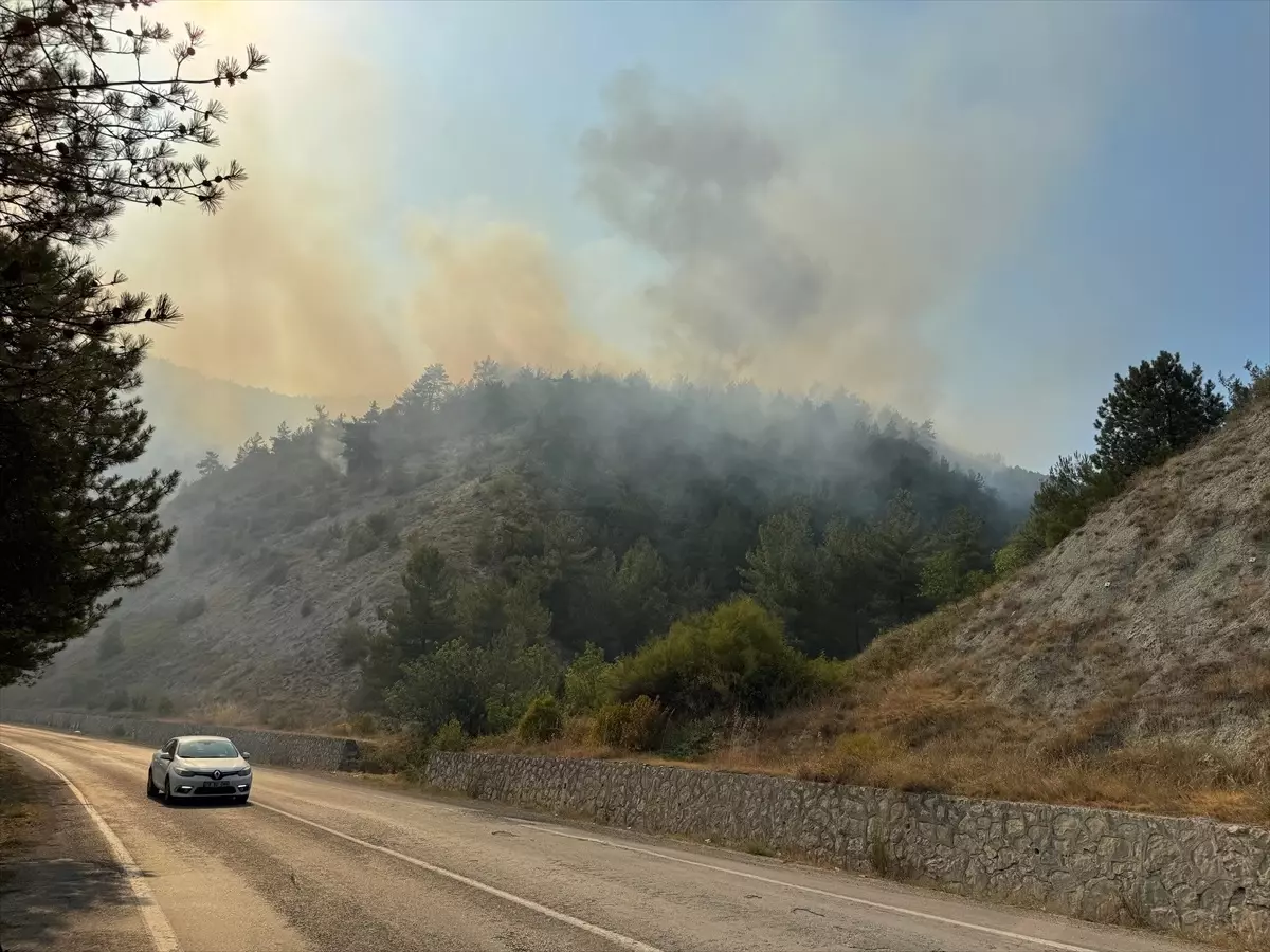 Karabük'te Orman Yangınına Müdahale Başlatıldı