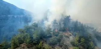 Karabük'te Orman Yangınına Hızlı Müdahale