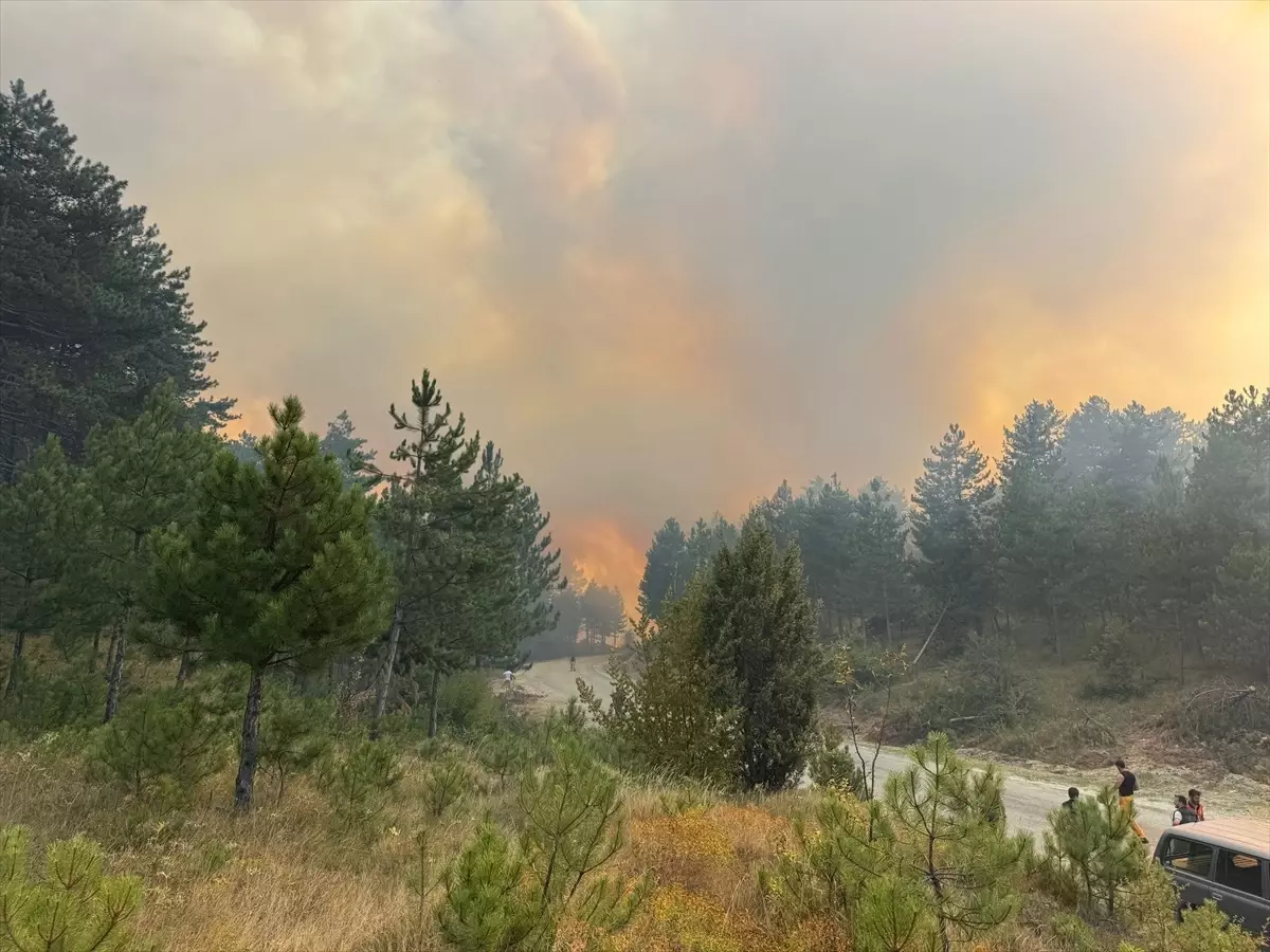 Karabük'te Orman Yangınına Müdahale Başlatıldı
