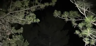 Safranbolu'da Kayalıktan Düşen Genç Yaralandı