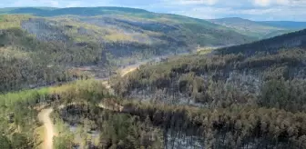 Karabük'teki Yangınlar Kontrol Altına Alındı