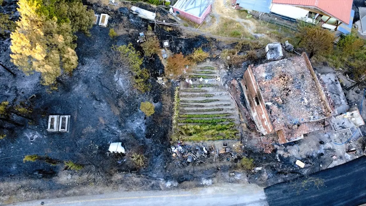 Karabük'te Orman Yangını: 39 Ev ve Hayvan Ahırları Hasar Gördü