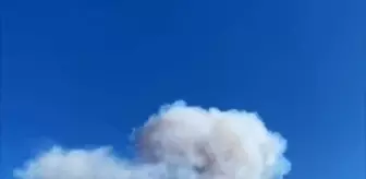 Karabük'te Orman Yangını Çıkmış Durumda