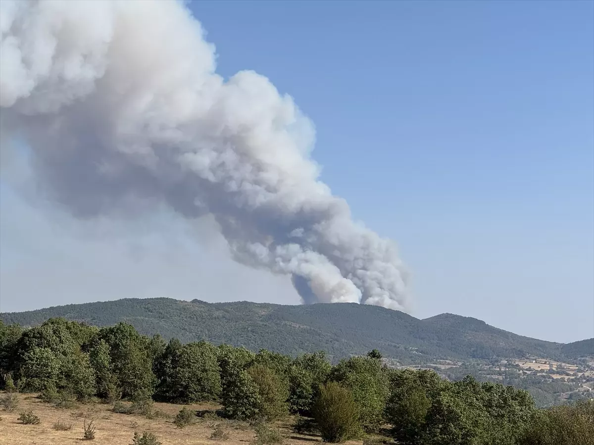 Karabük'te Orman Yangınına Müdahale Başlatıldı