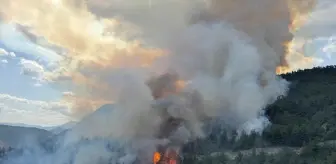 Karabük'te Orman Yangını Yeniden Başladı