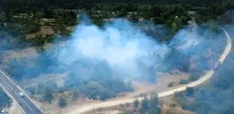 Safranbolu'da Tarım Arazisinde Yangın Kontrol Altına Alındı