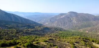Karabük'te Orman Yangınları Kontrol Altına Alındı