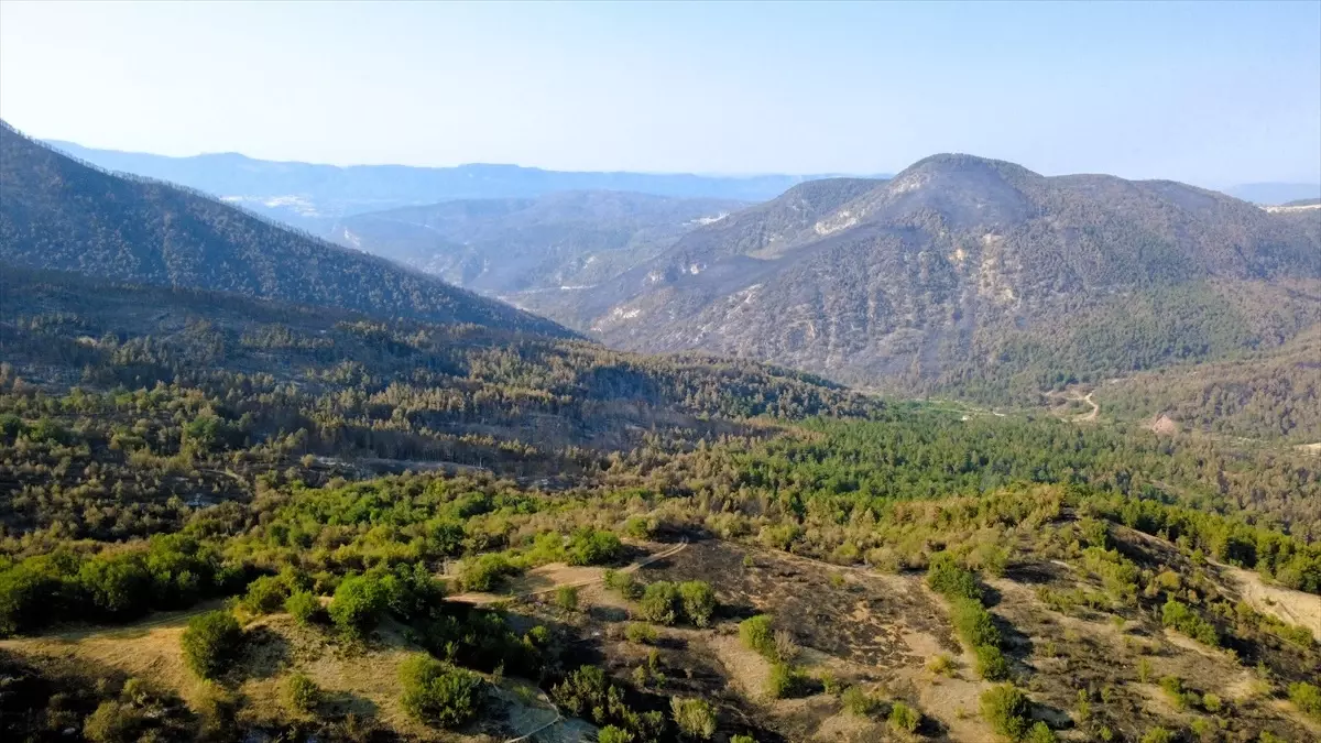 Karabük'te Orman Yangınları Kontrol Altına Alındı
