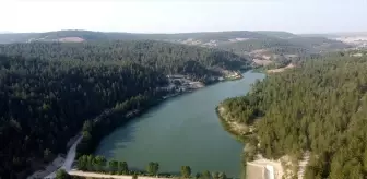 Eflani'deki Ortakçılar Göleti, Doğaseverlerin Gözdesi