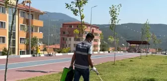 Karabük Belediyesi Yaz Aylarında Haşere İlaçlama Çalışmalarını Başlattı