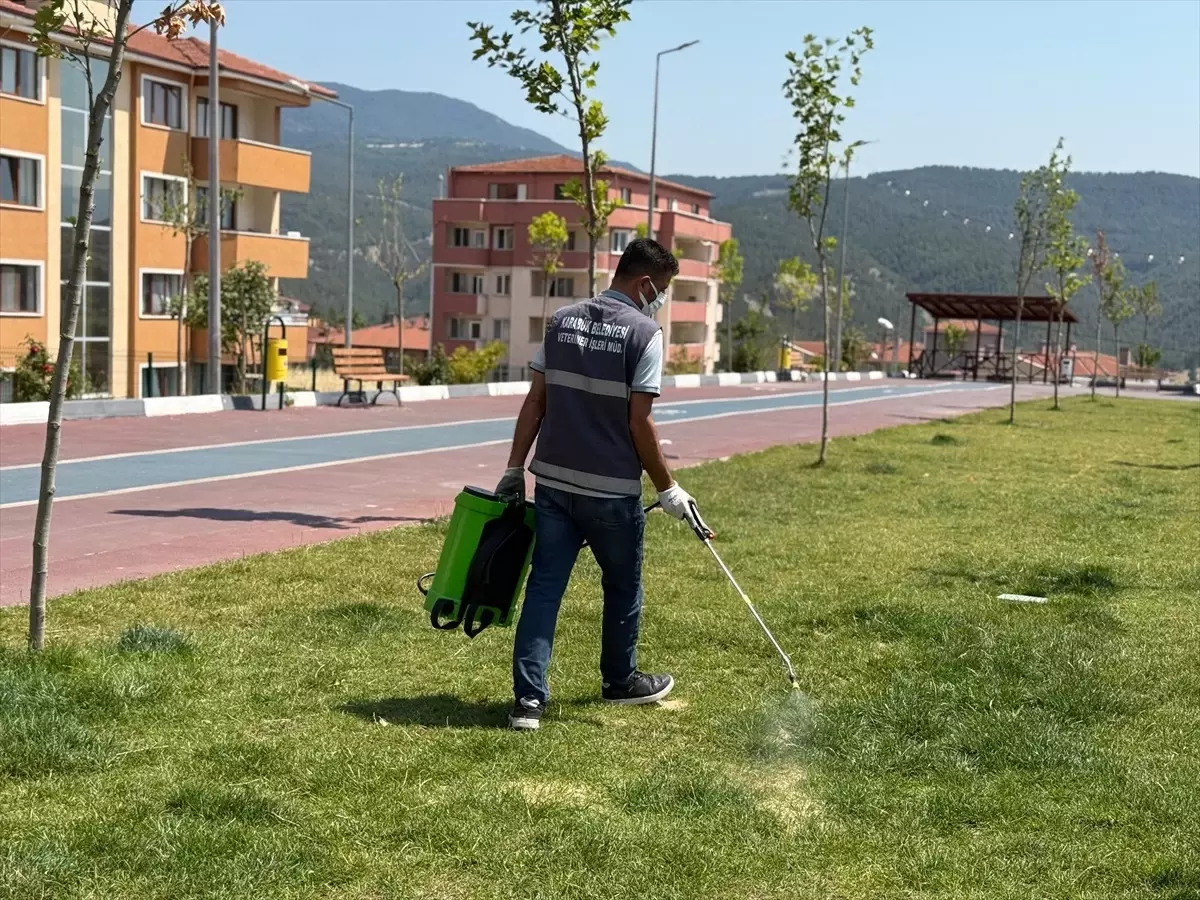 Karabük Belediyesi Yaz Aylarında Haşere İlaçlama Çalışmalarını Başlattı