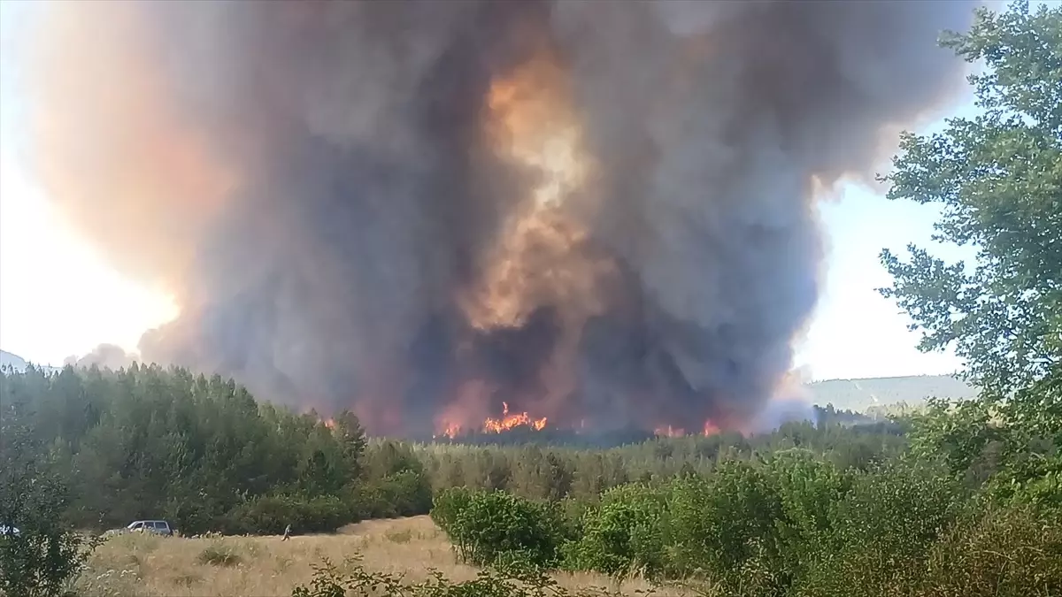 Karabük'te Orman Yangını Nedeniyle 10 Köy Boşaltıldı