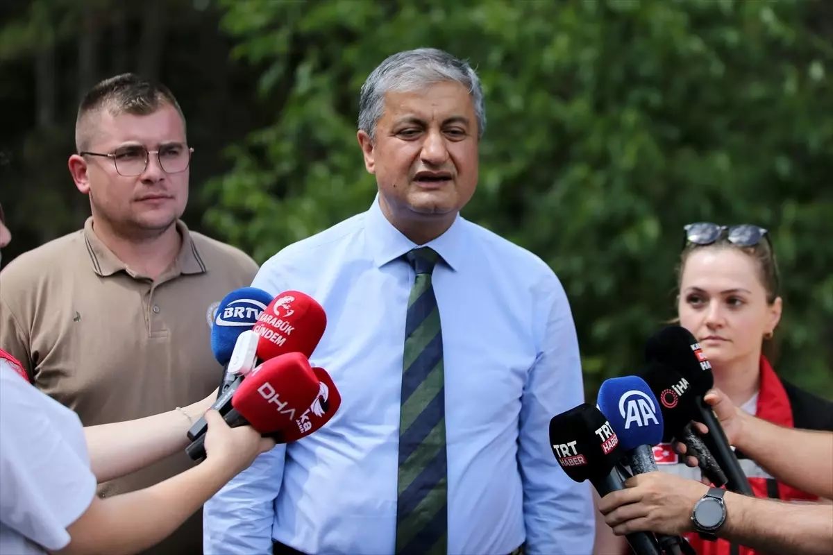 Karabük'te Orman Yangınları Hasar Verdi