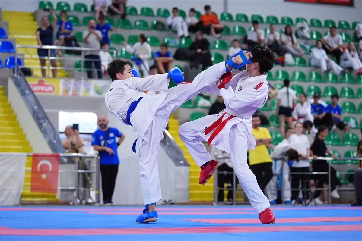 Rize'de Karadeniz ve Hazar Ülkeleri Karate Şampiyonası Tamamlandı