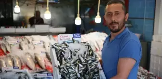 Karadenizli balıkçıların tezgahlarında yeni sezonda en çok istavrit yer alıyor