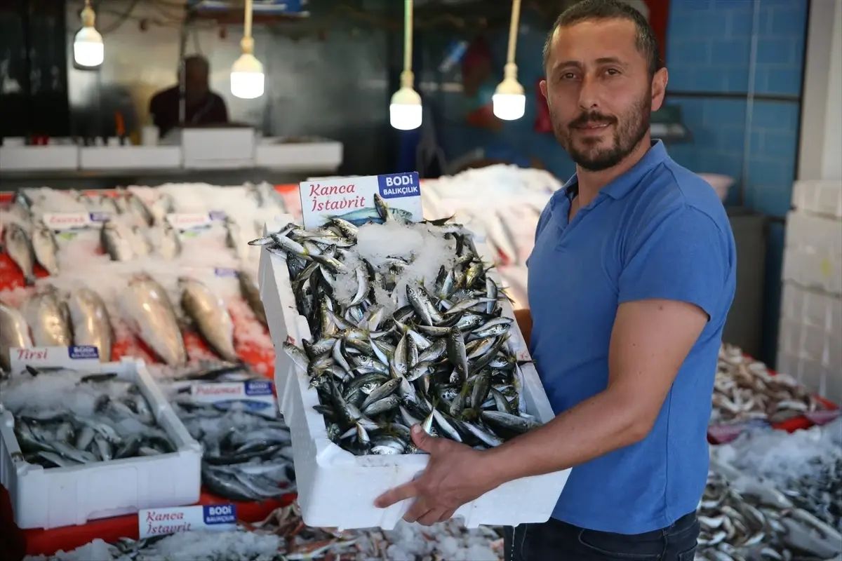 Karadenizli balıkçıların tezgahlarında yeni sezonda en çok istavrit yer alıyor