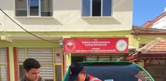 Karaman'da Yaralı Arı Kuşu Tedavi Altına Alındı