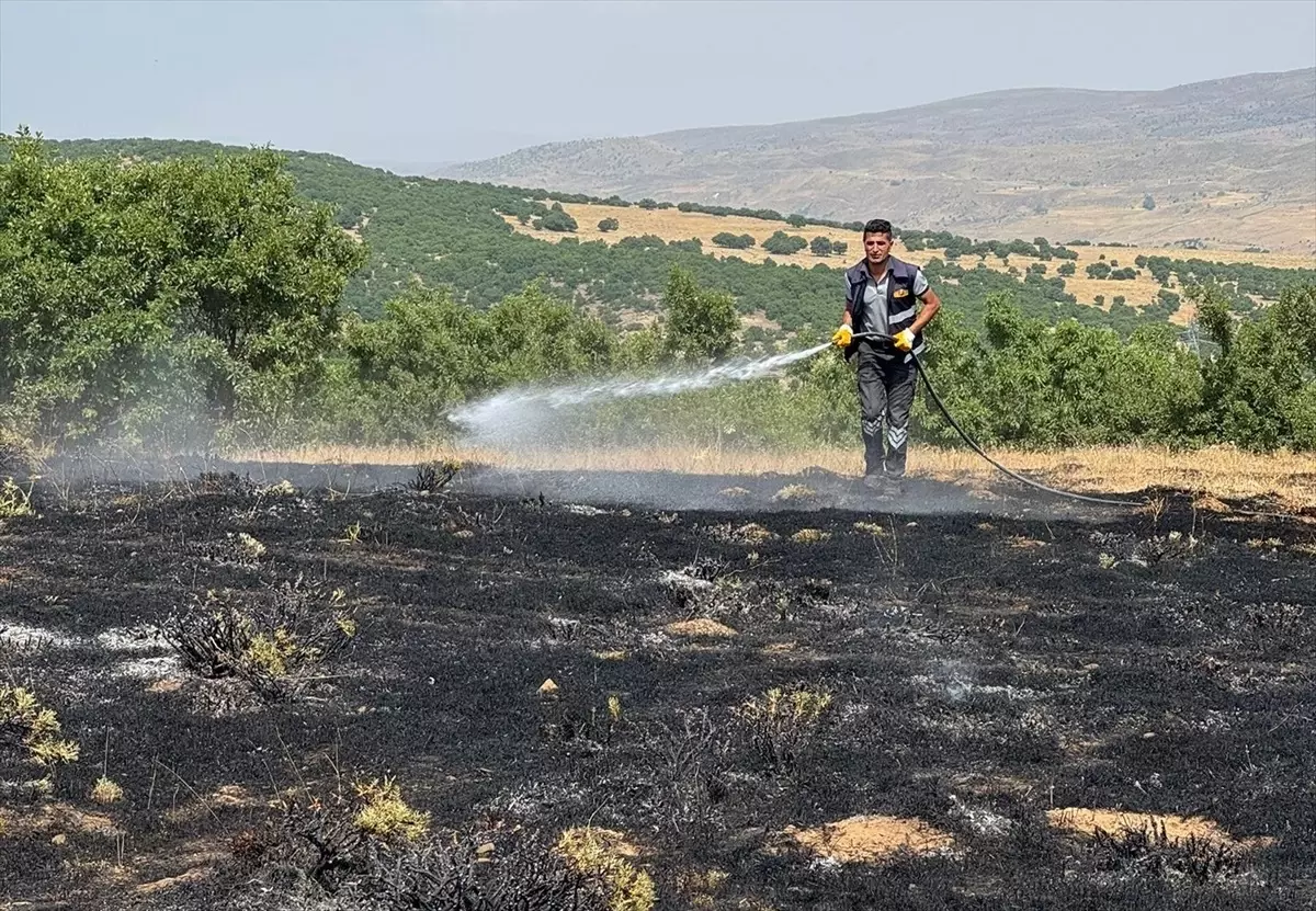 Bingöl'de Örtü Yangını Kontrol Altına Alındı