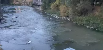 Kars Çayı'na Düşen Sürücü Ekiplerce Kurtarıldı