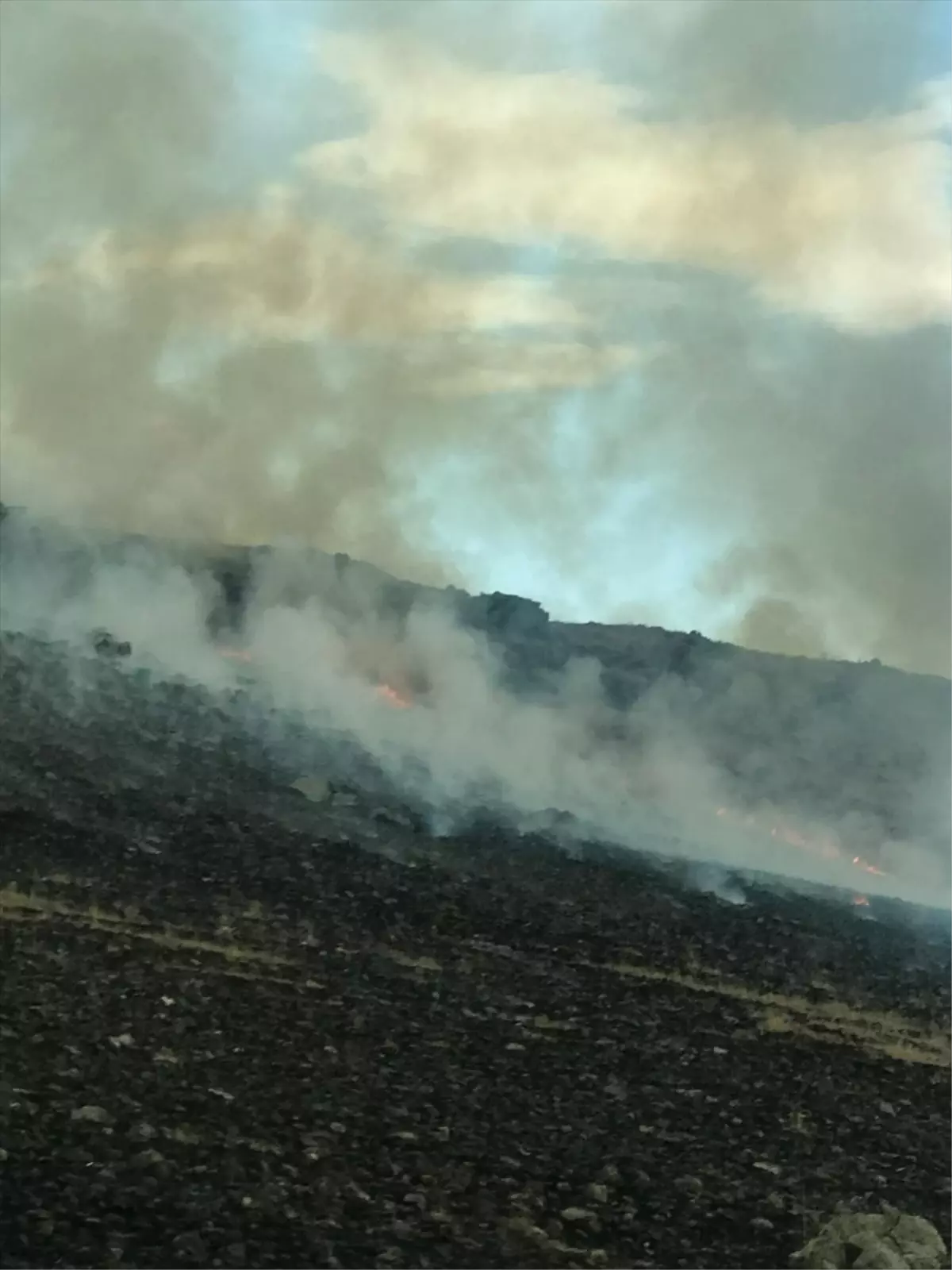 Kars'ta Askeri Tatbikat Alanında Anız Yangını Söndürüldü