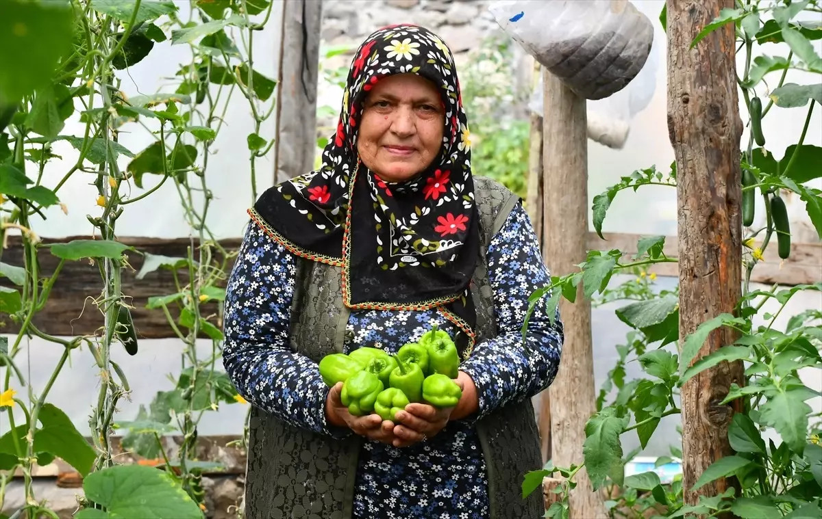Kars'ta Kadın Girişimci Organik Sebze Üretiminde Başarı Elde Etti