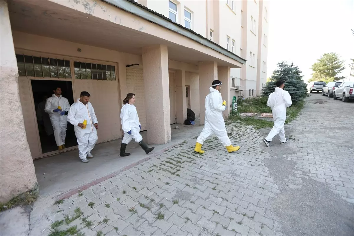 Kars'ta Dezenfeksiyon Timi, Şap Hastalığına Karşı Mücadele Ediyor