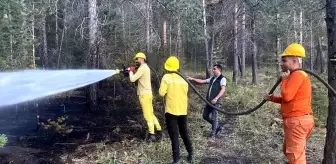 Sarıkamış'taki Orman Yangını Kontrol Altına Alındı