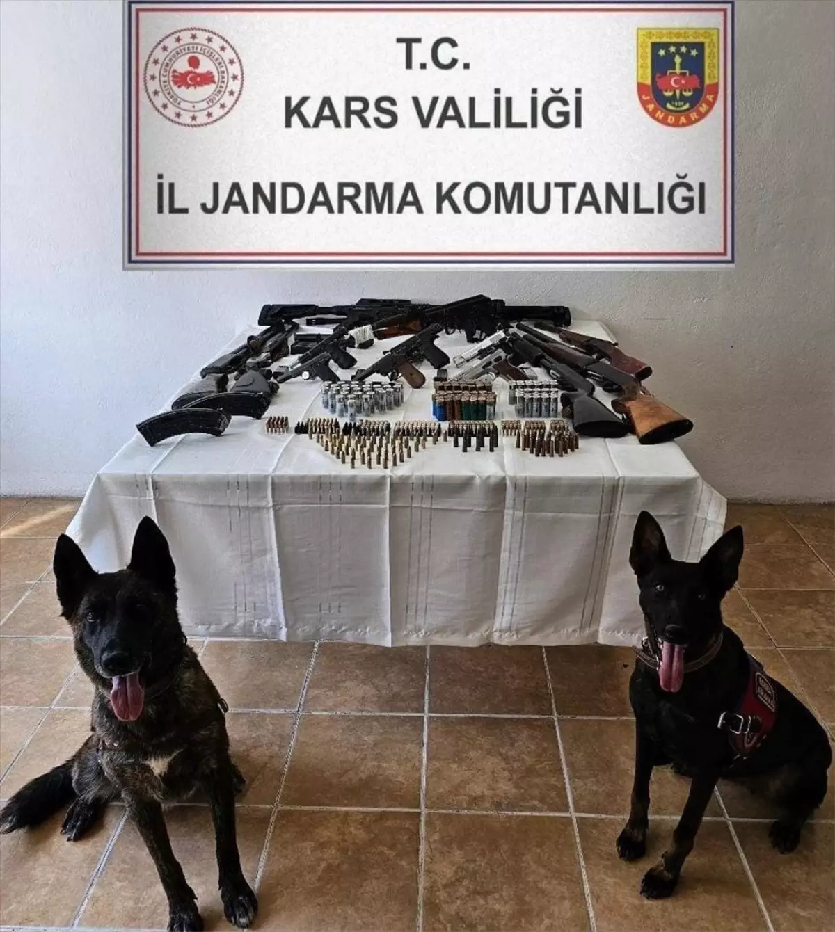 Kars&apos;ta Yasa Dışı Silah Ticareti Operasyonu: 2 Tutuklama