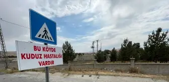 Kars'ta Kuduz Virüsü Nedeniyle Karantina Uygulaması Başlatıldı