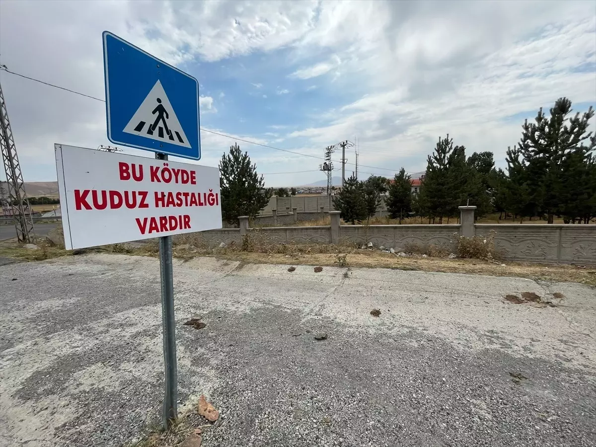 Kars'ta Kuduz Virüsü Nedeniyle Karantina Uygulaması Başlatıldı
