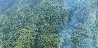 Çatalzeytin'de Ev Yangını Ormanlık Alana Sıçradı
