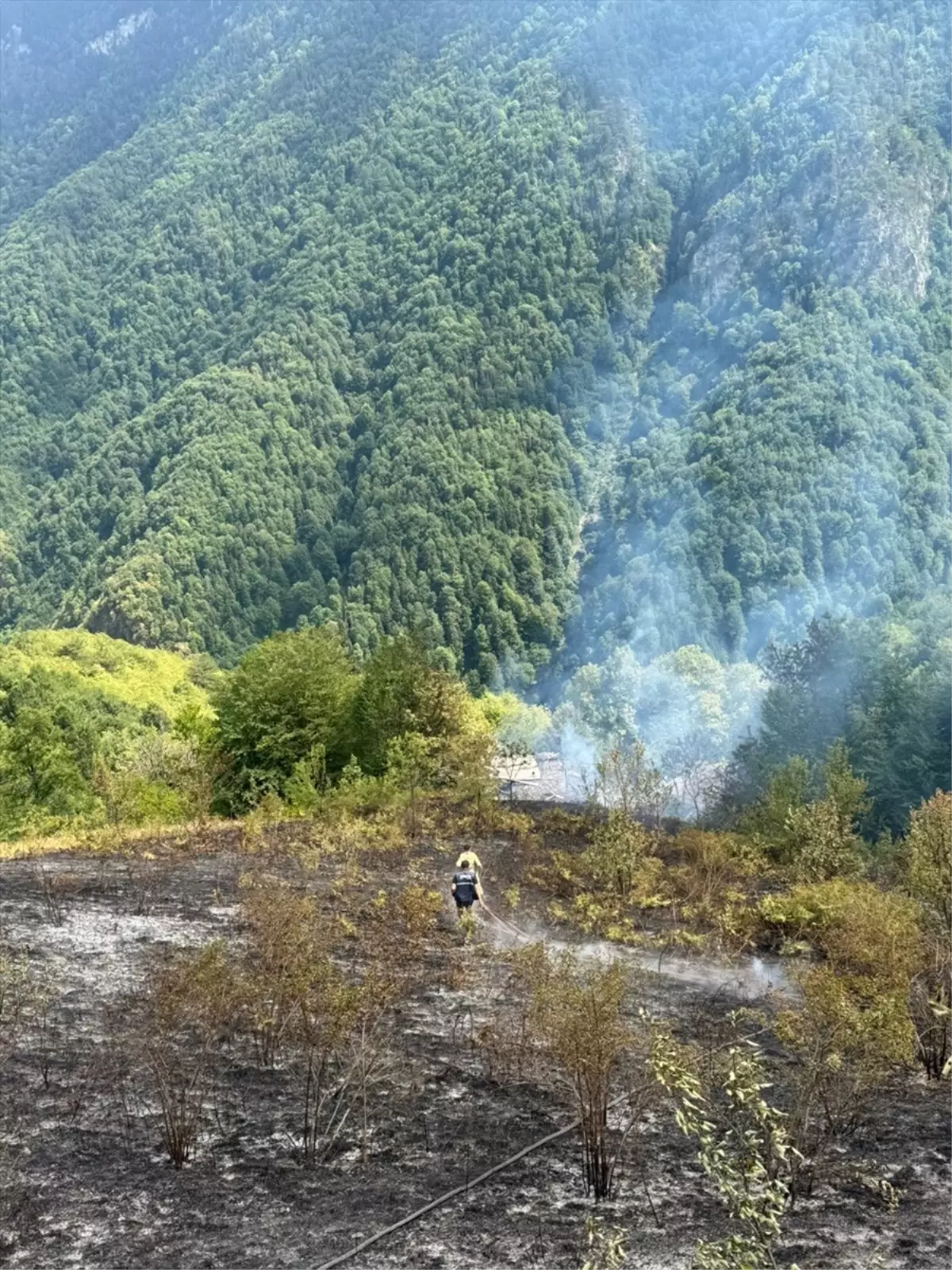 Çatalzeytin'de Ev Yangını Ormanlık Alana Sıçradı