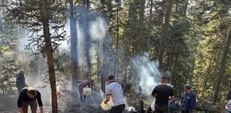 Kastamonu'da Orman Yangını Kısa Sürede Söndürüldü