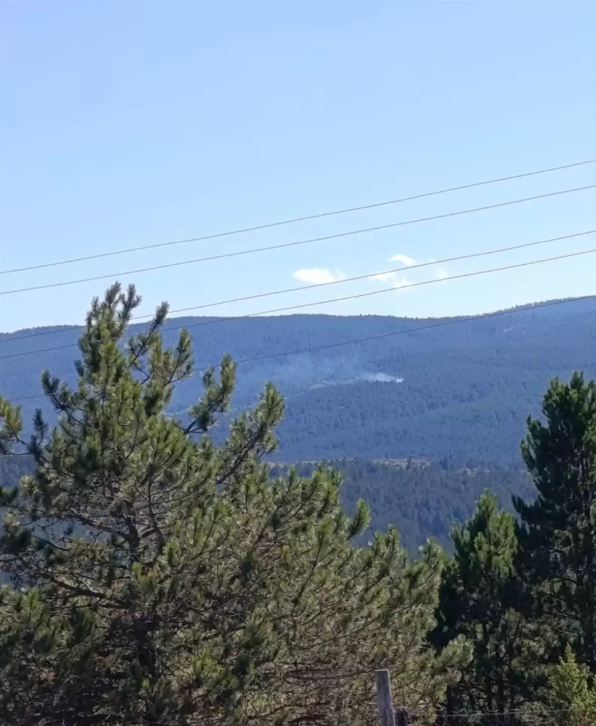 Kastamonu'da Orman Yangını Kısa Sürede Söndürüldü