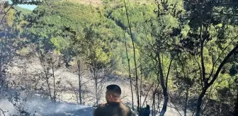 Kastamonu'da Bahçedeki Yangın Kontrol Altına Alındı
