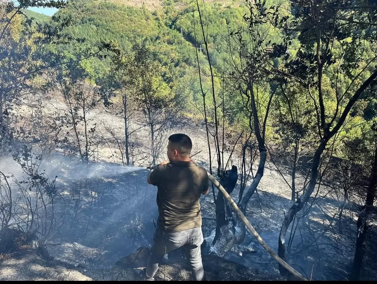 Kastamonu'da Bahçedeki Yangın Kontrol Altına Alındı
