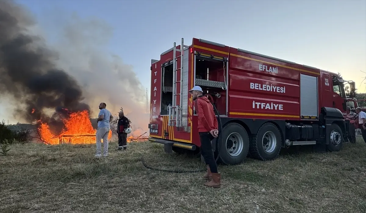 Kastamonu'da Yangın: 3 Samanlık, Garaj ve Odunluk Yandı