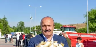 Taşköprü Sarımsağı Pazara İndi