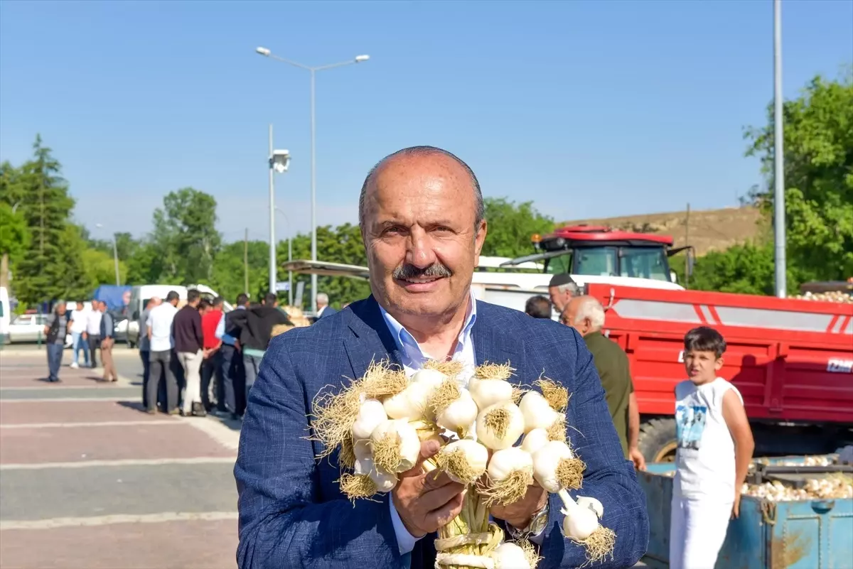 Taşköprü Sarımsağı Pazara İndi