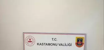 Kastamonu'da Kaçak Kazı Yapan İki Kişi Tutuklandı