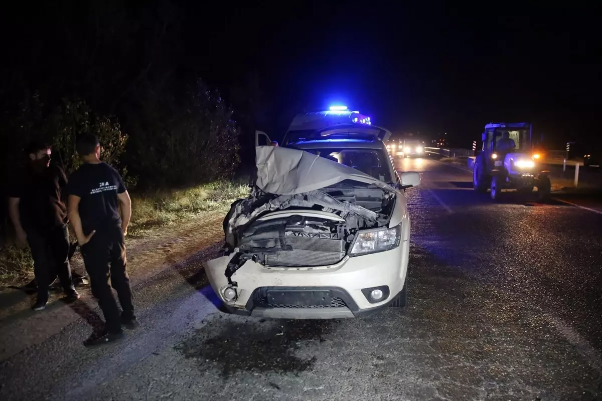 Kastamonu’da Otobüs ve Cip 3 İneğe Çarptı