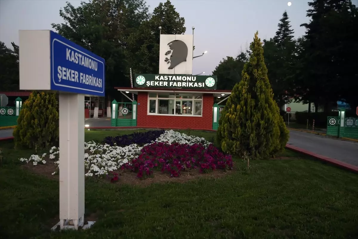 Kastamonu Şeker Fabrikasında Güvenlik Görevlileri Arasında Silahlı Kavga