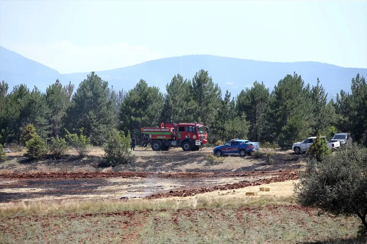 Kastamonu'da Tarım Arazisinde Başlayan Yangın Ormana Sıçradı