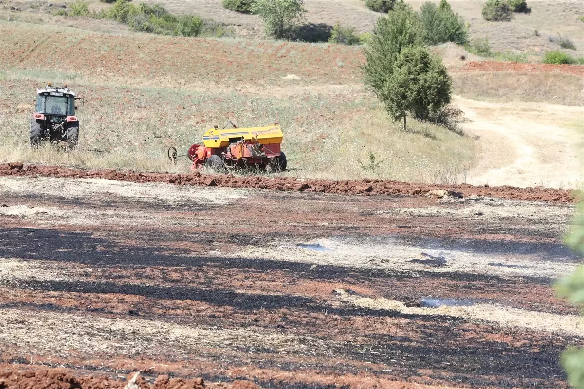 Kastamonu'da Tarım Arazisinde Başlayan Yangın Kontrol Altına Alındı