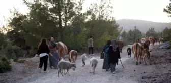Kastamonu-Karabük sınırındaki iki orman yangını kontrol altına alındı