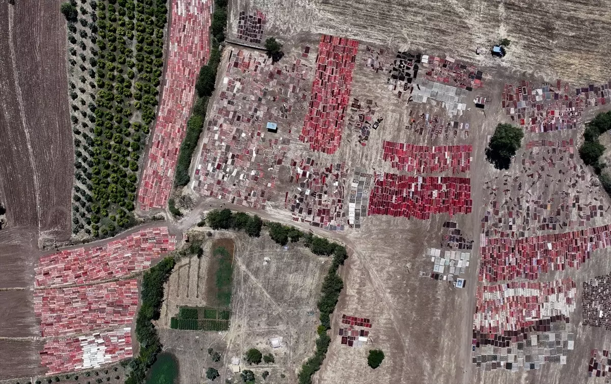 Antalya Sıcakları Halıları Güzelleştiriyor