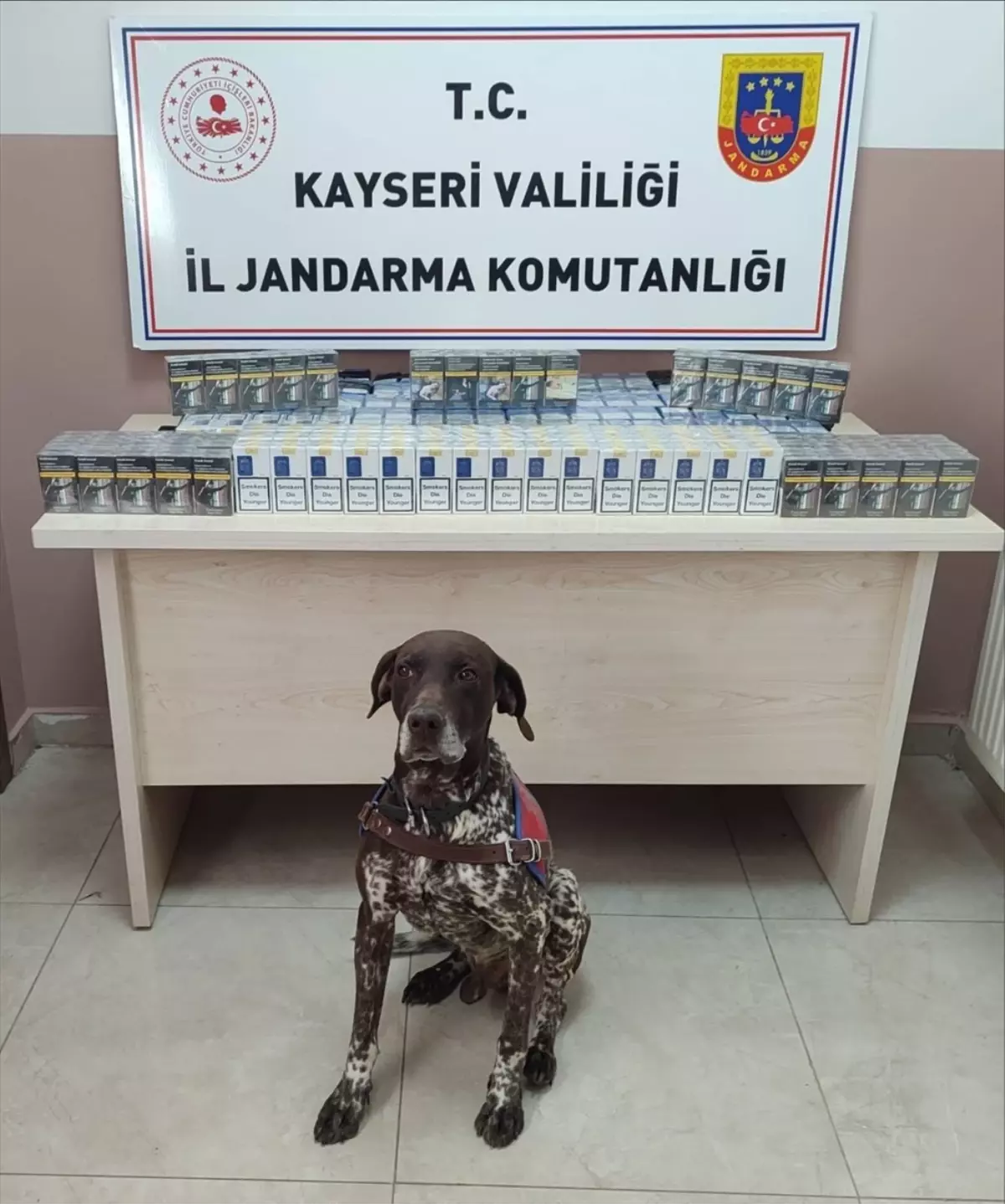 Kayseri'de Jandarmadan Kaçak Sigara Operasyonu