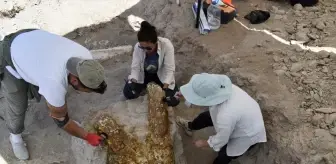 Kayseri'de 7,7 Milyon Yıllık Fosil Kazıları: 3 Fil Kafatası Bulundu