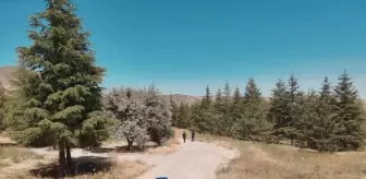 Kayseri Jandarması Orman Yangınlarına Karşı Denetimlerde